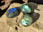 Polished Labradorite Palm Stones x 24 From Tulear, Madagascar - Toprock Gemstones and Minerals 