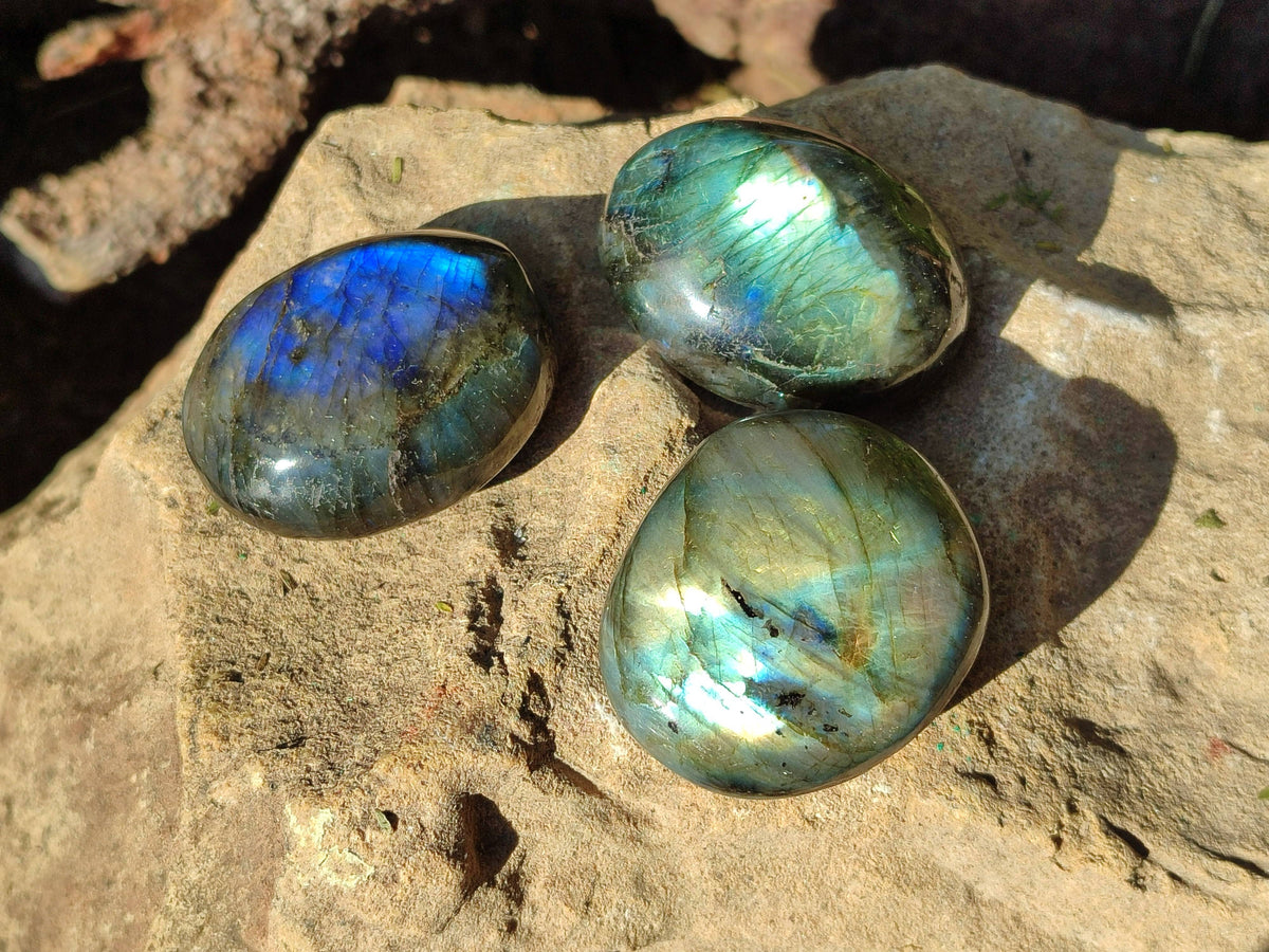 Polished Labradorite Palm Stones x 24 From Tulear, Madagascar - Toprock Gemstones and Minerals 