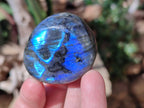 Polished Labradorite Palm Stones x 24 From Tulear, Madagascar - Toprock Gemstones and Minerals 