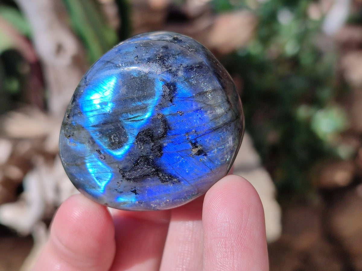 Polished Labradorite Palm Stones x 24 From Tulear, Madagascar - Toprock Gemstones and Minerals 