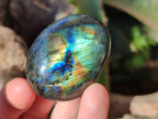 Polished Labradorite Palm Stones x 24 From Tulear, Madagascar - Toprock Gemstones and Minerals 