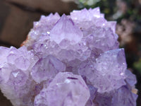 Natural Amethyst Spirit Quartz Clusters x 4 From Boekenhouthoek, South Africa - Toprock Gemstones and Minerals 