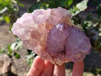 Natural Amethyst Spirit Quartz Clusters x 4 From Boekenhouthoek, South Africa - Toprock Gemstones and Minerals 