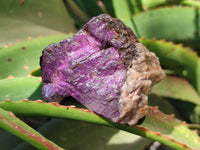 Natural Metallic Purpurite Specimens x 12 From Erongo, Namibia - Toprock Gemstones and Minerals 