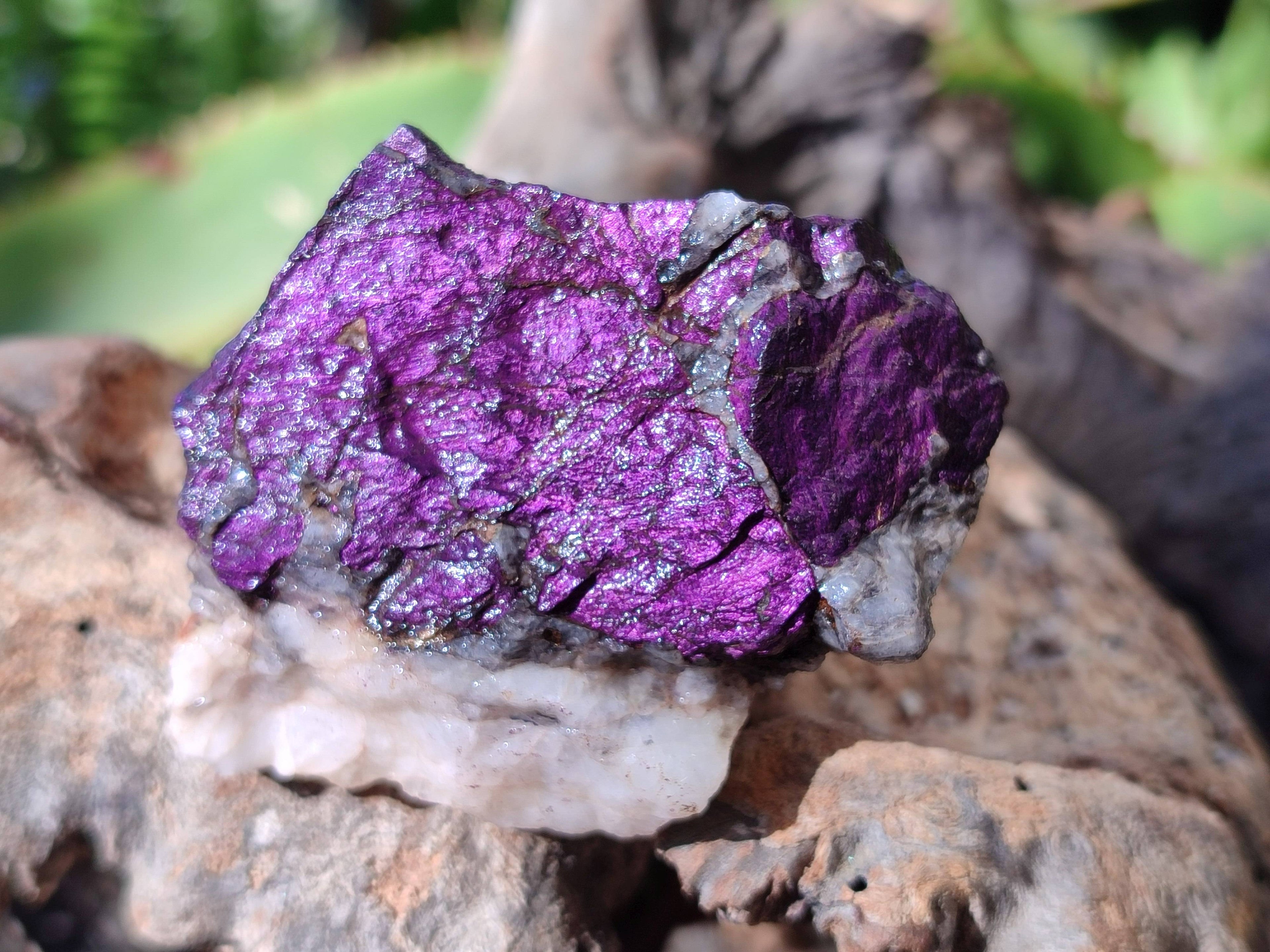 Natural Metallic Purpurite Specimens x 12 From Erongo, Namibia - Toprock Gemstones and Minerals 