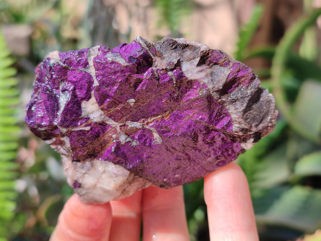Natural Metallic Purpurite Specimens x 12 From Erongo, Namibia - Toprock Gemstones and Minerals 
