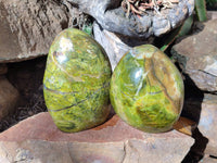 Polished Green Opal Standing Free Forms x 2 From Antsirabe, Madagascar