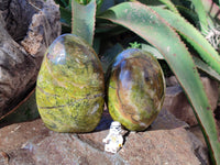 Polished Green Opal Standing Free Forms x 2 From Antsirabe, Madagascar