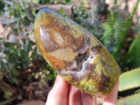 Polished Green Opal Standing Free Forms x 2 From Antsirabe, Madagascar