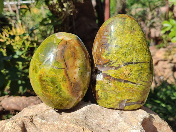Polished Green Opal Standing Free Forms x 2 From Antsirabe, Madagascar - Toprock Gemstones and Minerals 