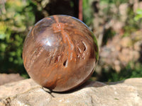 Polished Petrified Wood Spheres x 4 From Gokwe, Zimbabwe - Toprock Gemstones and Minerals 