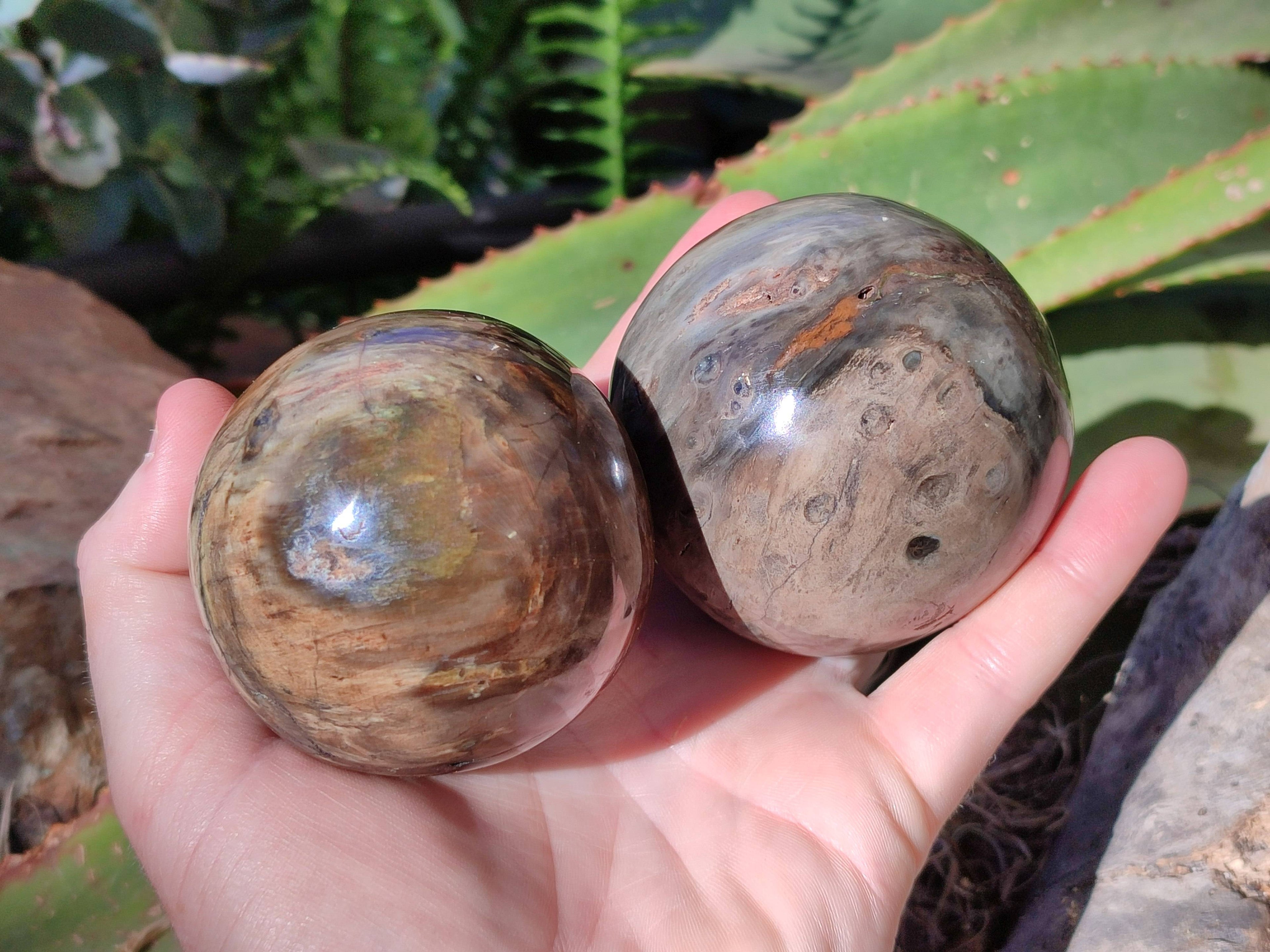 Polished Petrified Wood Spheres x 4 From Gokwe, Zimbabwe - Toprock Gemstones and Minerals 