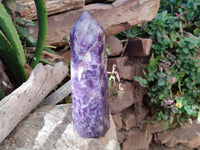 Polished Lepidolite Point x 1 From Madagascar