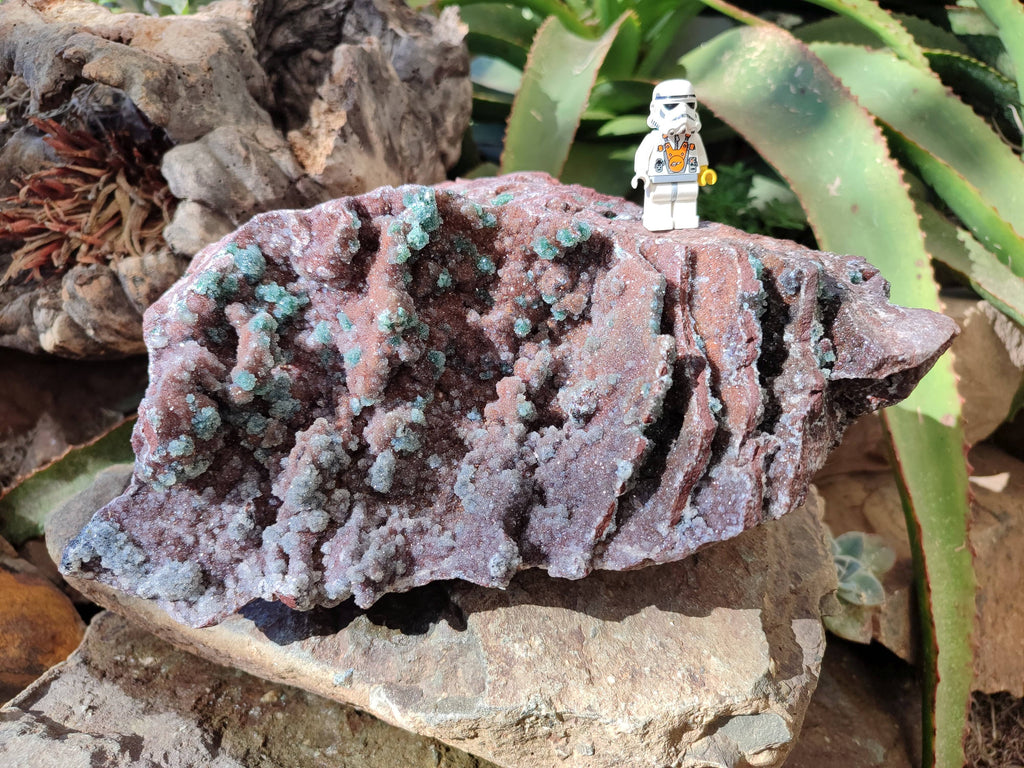 Natural Ball Malachite On Dolomite Matrix Specimen x 1 From Likasi, Congo - Toprock Gemstones and Minerals 