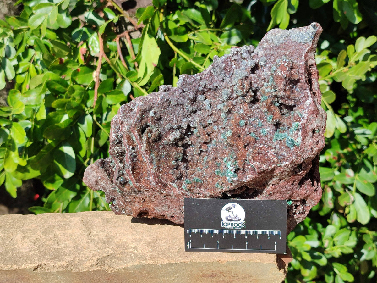 Natural Ball Malachite On Dolomite Matrix Specimen x 1 From Likasi, Congo - Toprock Gemstones and Minerals 
