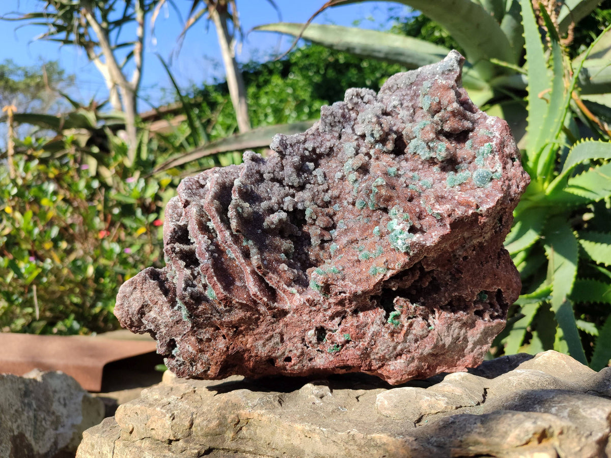 Natural Ball Malachite On Dolomite Matrix Specimen x 1 From Likasi, Congo - Toprock Gemstones and Minerals 