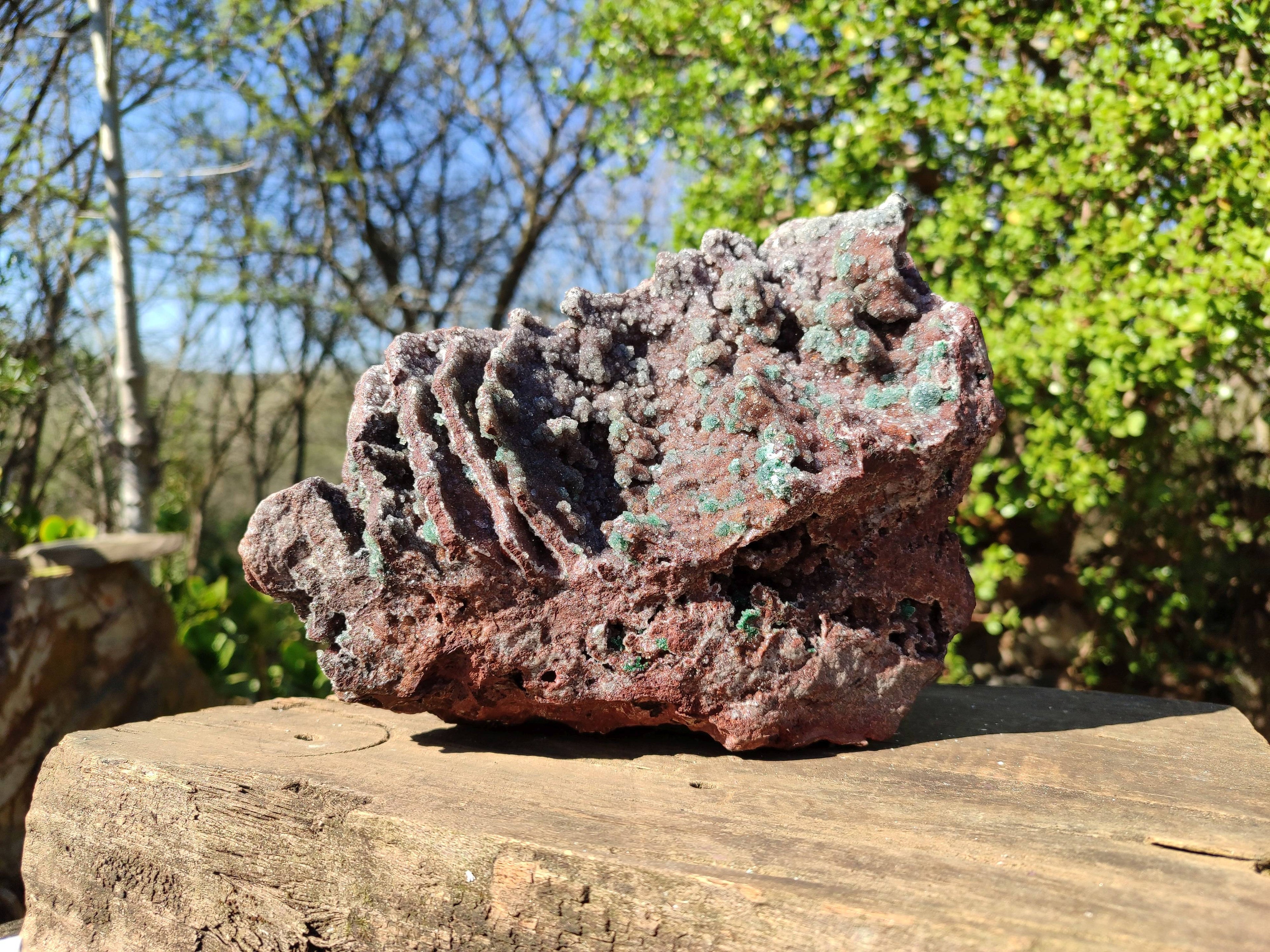 Natural Ball Malachite On Dolomite Matrix Specimen x 1 From Likasi, Congo - Toprock Gemstones and Minerals 