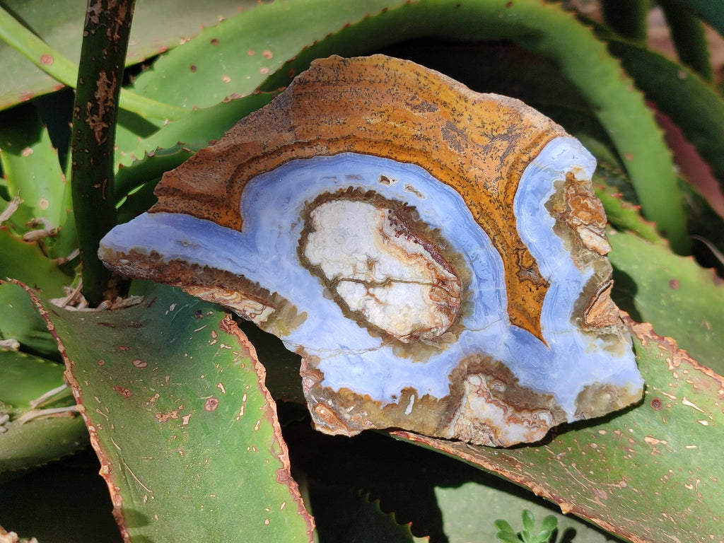 Polished On One Side 'Crazy Lace' Blue Lace Agate x 3 From Namibia - Toprock Gemstones and Minerals 