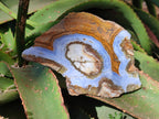 Polished On One Side 'Crazy Lace' Blue Lace Agate x 3 From Namibia - Toprock Gemstones and Minerals 