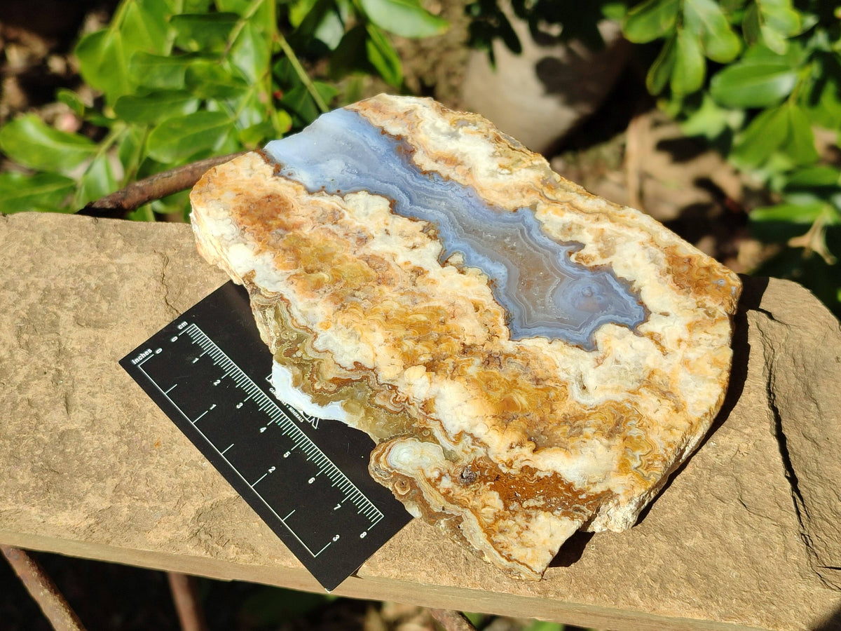 Polished On One Side 'Crazy Lace' Blue Lace Agate x 3 From Namibia - Toprock Gemstones and Minerals 