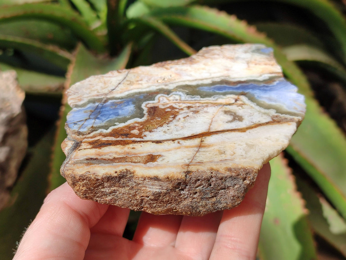 Polished On One Side 'Crazy Lace' Blue Lace Agate x 3 From Namibia - Toprock Gemstones and Minerals 