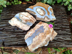 Polished On One Side 'Crazy Lace' Blue Lace Agate x 3 From Namibia - Toprock Gemstones and Minerals 