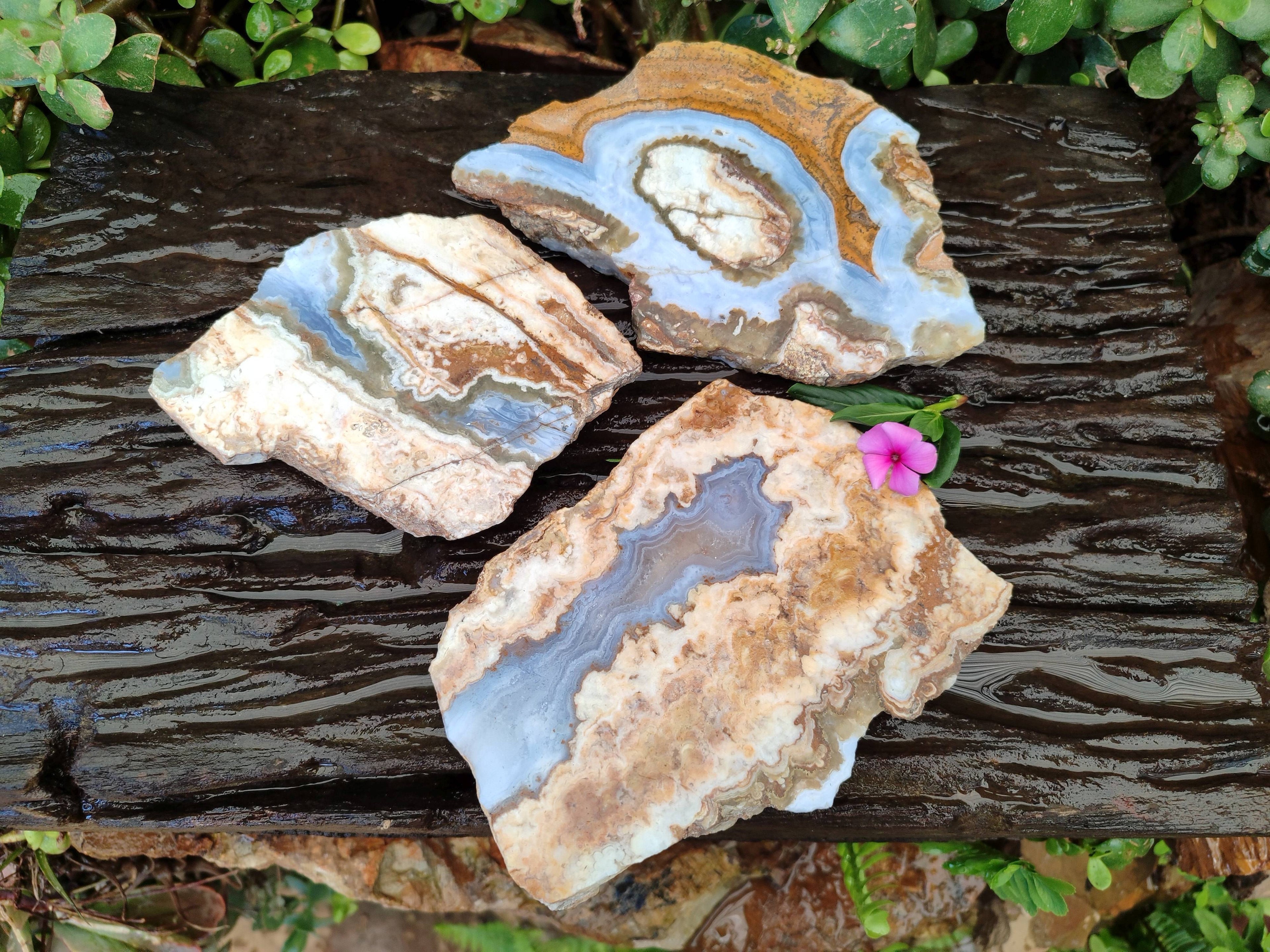 Polished On One Side 'Crazy Lace' Blue Lace Agate x 3 From Namibia - Toprock Gemstones and Minerals 