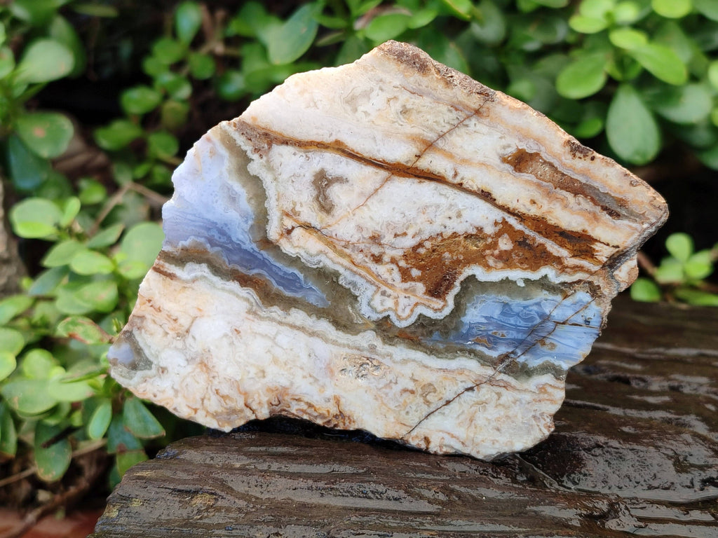 Polished On One Side 'Crazy Lace' Blue Lace Agate x 3 From Namibia - Toprock Gemstones and Minerals 