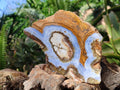 Polished On One Side 'Crazy Lace' Blue Lace Agate x 3 From Namibia - Toprock Gemstones and Minerals 