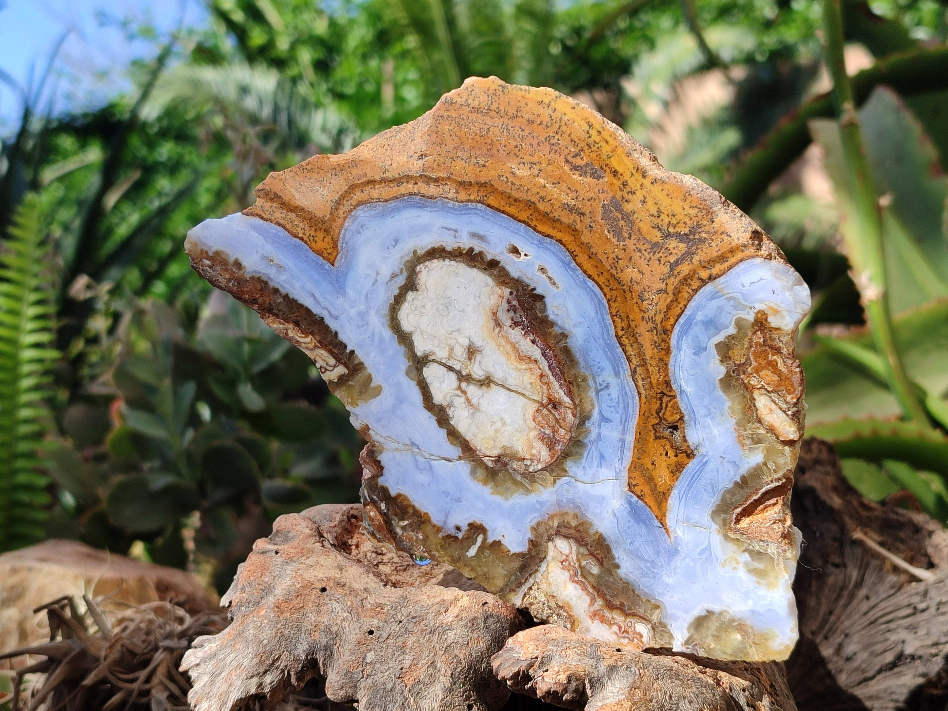Polished On One Side 'Crazy Lace' Blue Lace Agate x 3 From Namibia - Toprock Gemstones and Minerals 