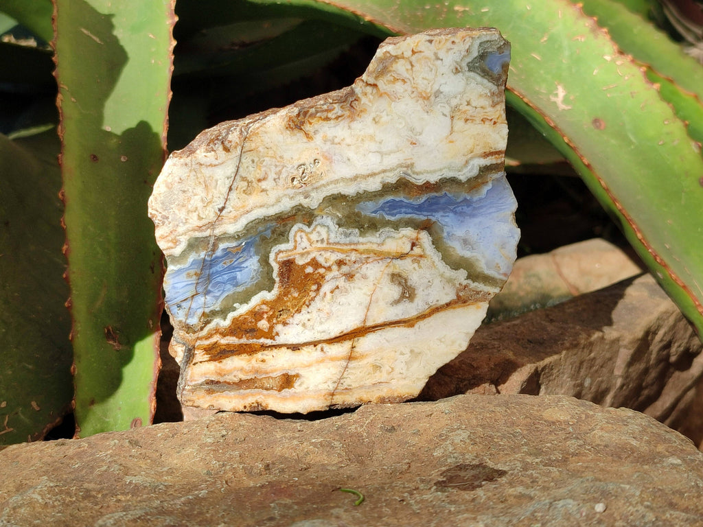 Polished On One Side 'Crazy Lace' Blue Lace Agate x 3 From Namibia - Toprock Gemstones and Minerals 