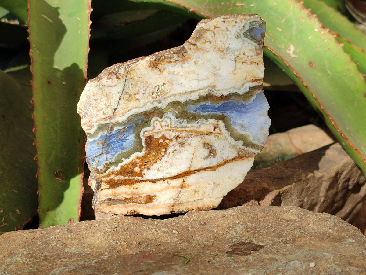 Polished On One Side 'Crazy Lace' Blue Lace Agate x 3 From Namibia - Toprock Gemstones and Minerals 