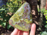 Polished Bastite Dragon Bloodstone Standing Free Forms x 3 From South Africa - Toprock Gemstones and Minerals 