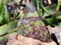 Polished Bastite Dragon Bloodstone Standing Free Forms x 3 From South Africa - Toprock Gemstones and Minerals 