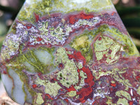 Polished Bastite Dragon Bloodstone Standing Free Forms x 3 From South Africa - Toprock Gemstones and Minerals 