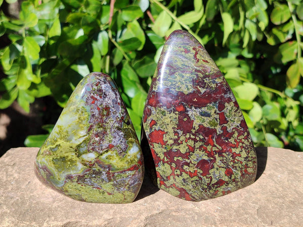Polished Bastite Dragon Bloodstone Standing Free Forms x 3 From South Africa - Toprock Gemstones and Minerals 