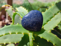 Polished Lazulite Hearts x 35 From Madagascar