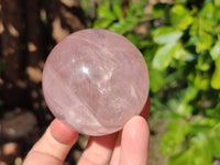 Polished Star Rose Quartz Spheres x 4 From Madagascar