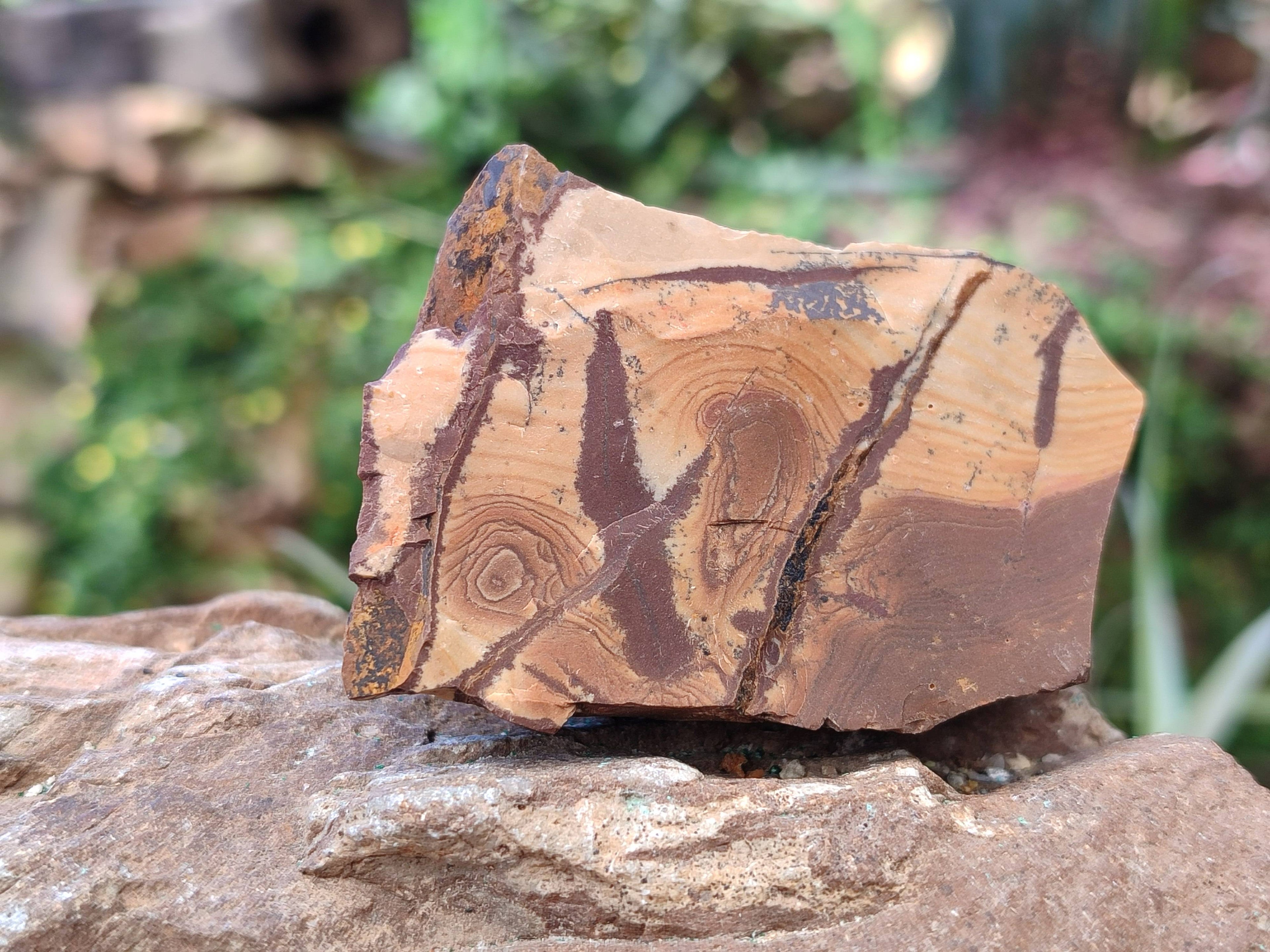 Natural Nguni Jasper Cobbed Specimens x 24 From Prieska, South Africa - Toprock Gemstones and Minerals 