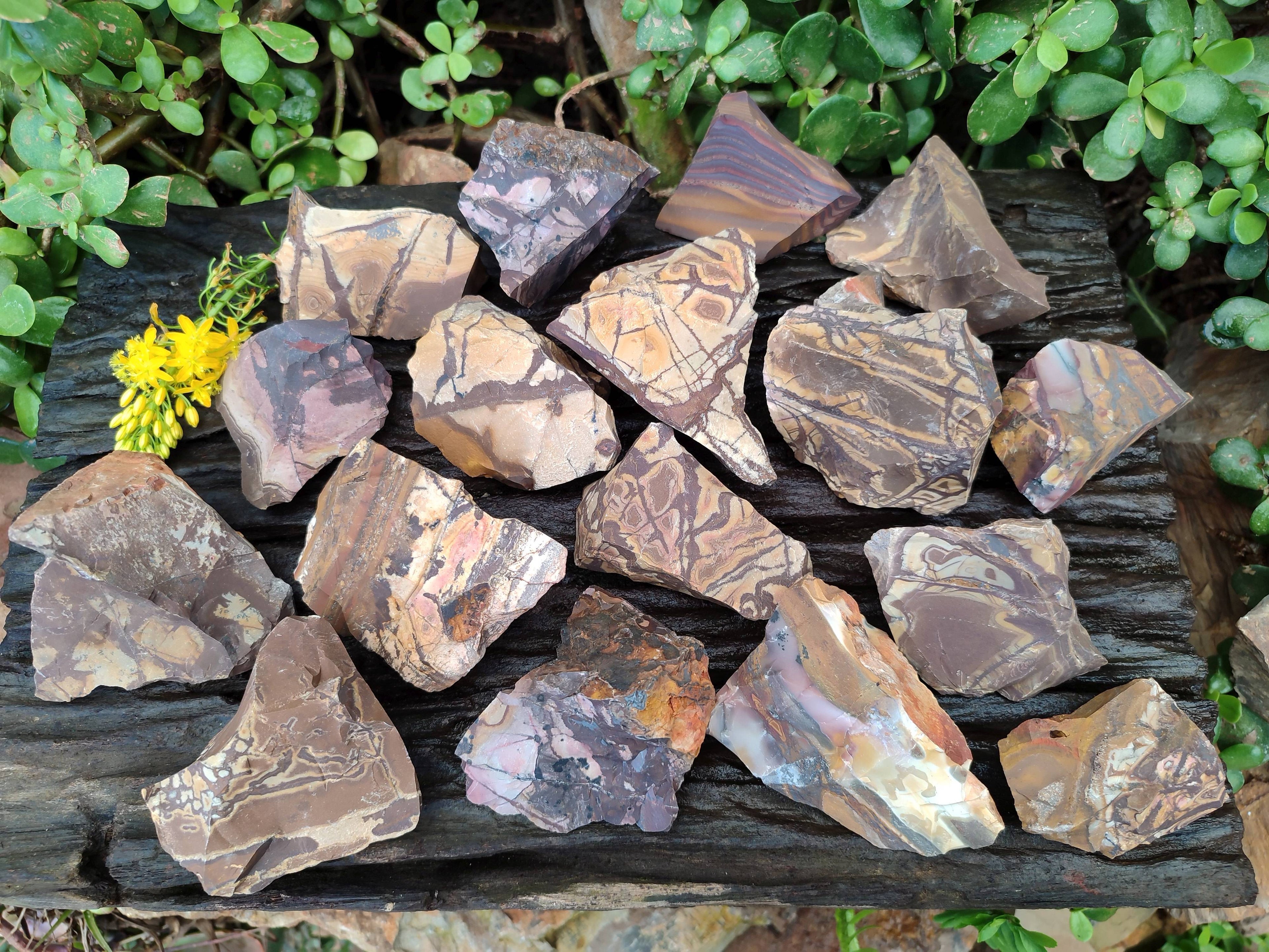 Natural Nguni Jasper Cobbed Specimens x 24 From Prieska, South Africa - Toprock Gemstones and Minerals 