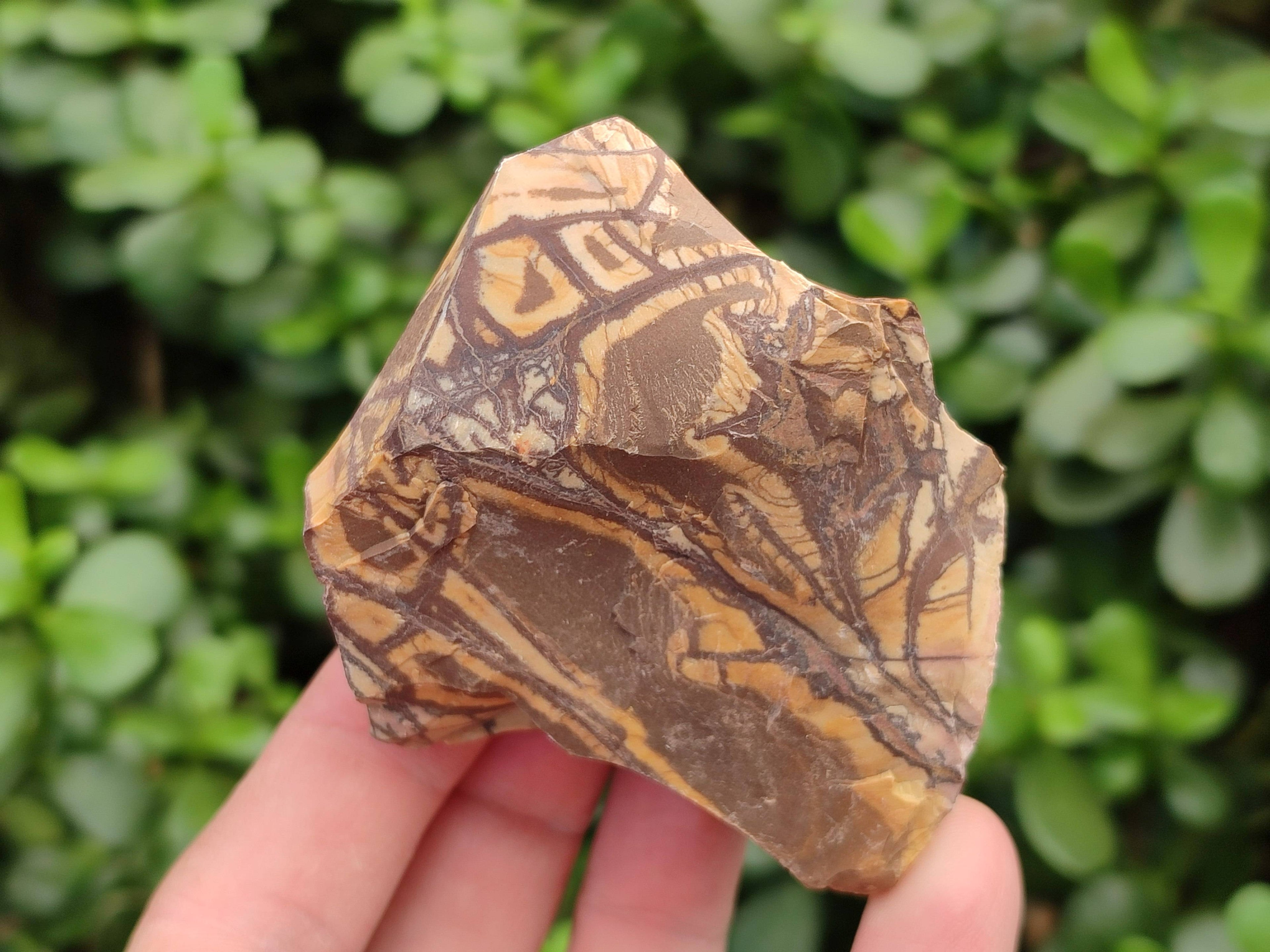 Natural Nguni Jasper Cobbed Specimens x 24 From Prieska, South Africa - Toprock Gemstones and Minerals 