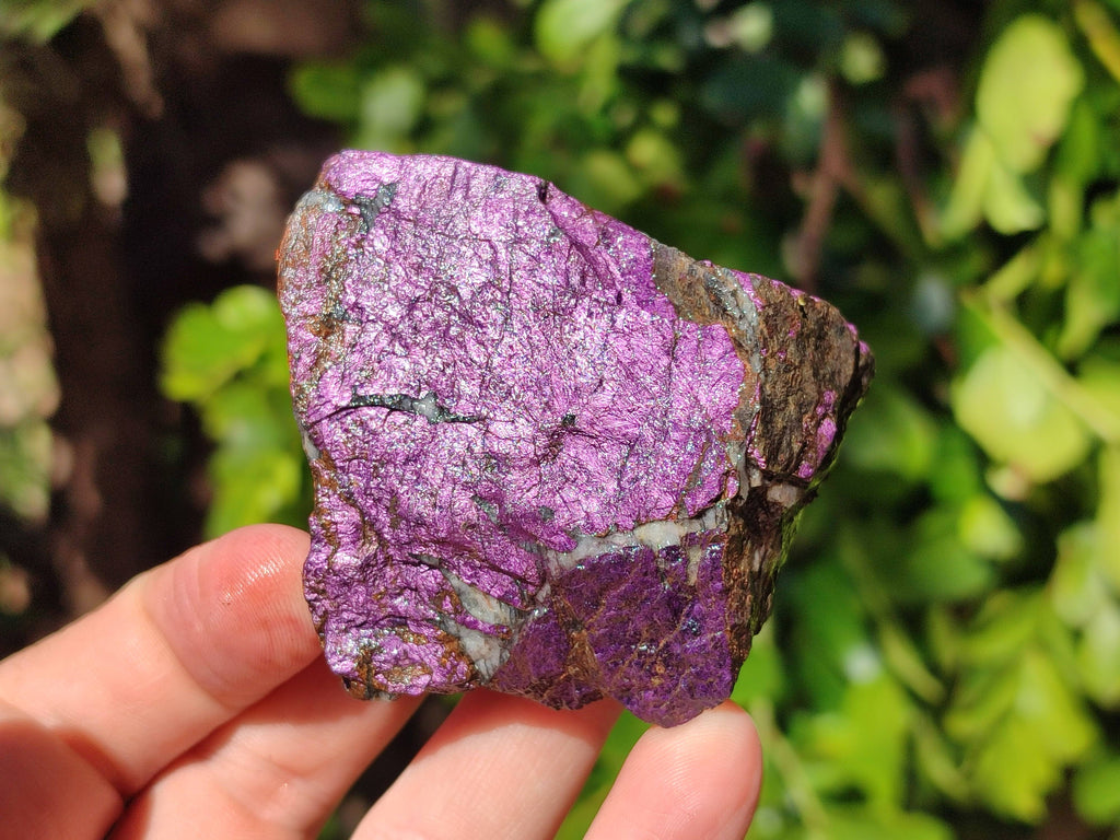 Natural Metallic Purpurite Specimens x 12 From Erongo, Namibia - Toprock Gemstones and Minerals 