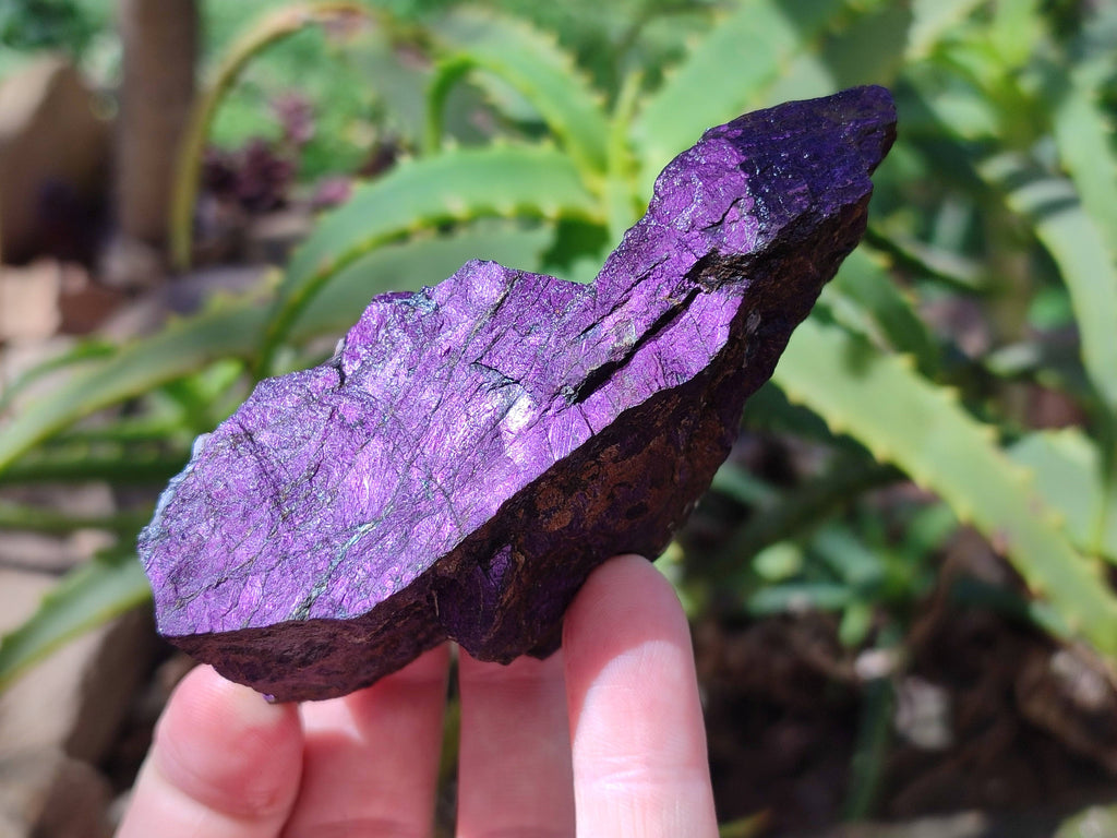 Natural Metallic Purpurite Specimens x 12 From Erongo, Namibia - Toprock Gemstones and Minerals 