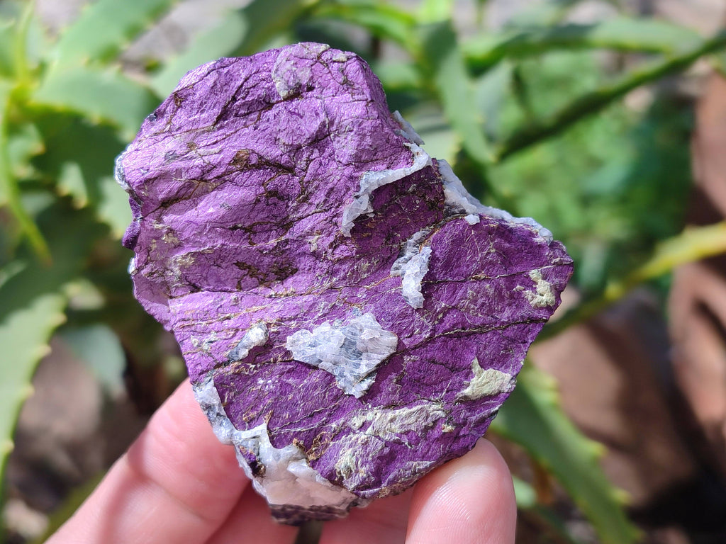 Natural Metallic Purpurite Specimens x 12 From Erongo, Namibia - Toprock Gemstones and Minerals 