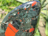 Polished Bastite Dragon Bloodstone Standing Free Form x 1 From South Africa - Toprock Gemstones and Minerals 