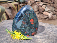 Polished Bastite Dragon Bloodstone Standing Free Form x 1 From South Africa - Toprock Gemstones and Minerals 