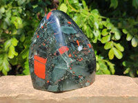 Polished Bastite Dragon Bloodstone Standing Free Form x 1 From South Africa - Toprock Gemstones and Minerals 