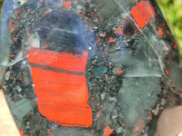 Polished Bastite Dragon Bloodstone Standing Free Form x 1 From South Africa - Toprock Gemstones and Minerals 