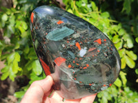 Polished Bastite Dragon Bloodstone Standing Free Form x 1 From South Africa - Toprock Gemstones and Minerals 