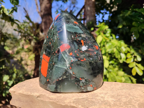 Polished Bastite Dragon Bloodstone Standing Free Form x 1 From South Africa - Toprock Gemstones and Minerals 